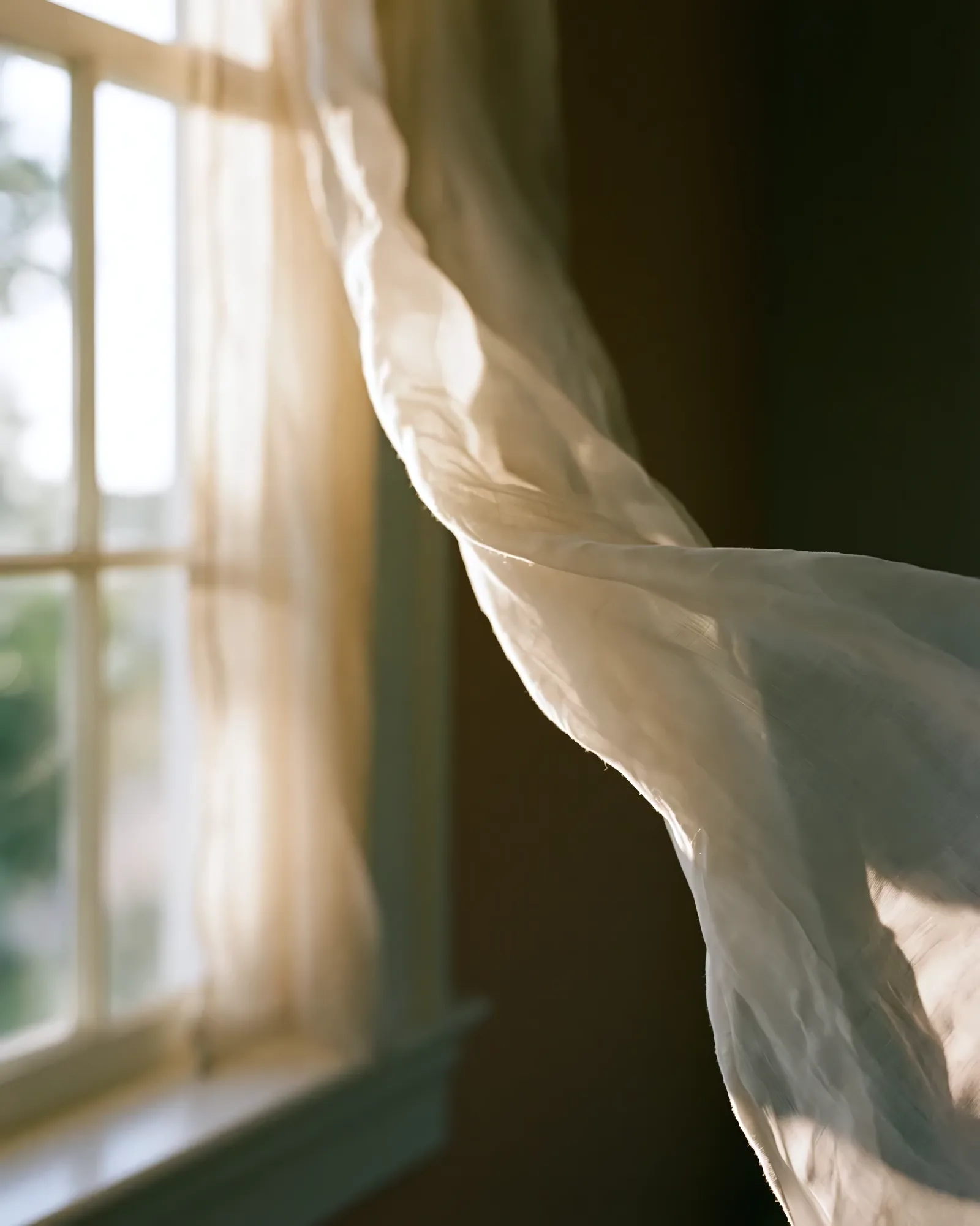 Sheer curtain moving in soft window light